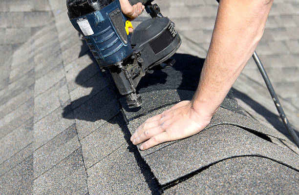 Best Skylight Installation and Repair  in Rainbow Lakes Estates, FL
